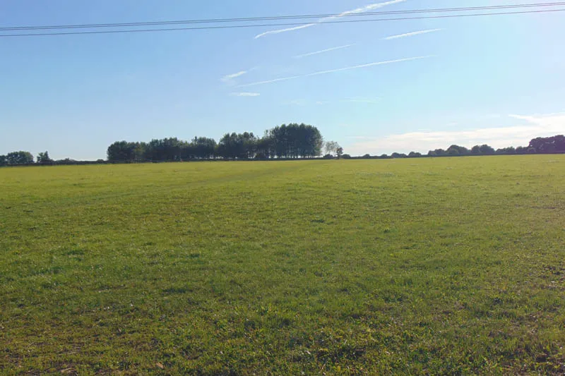 Walk the Common & Explore Nature